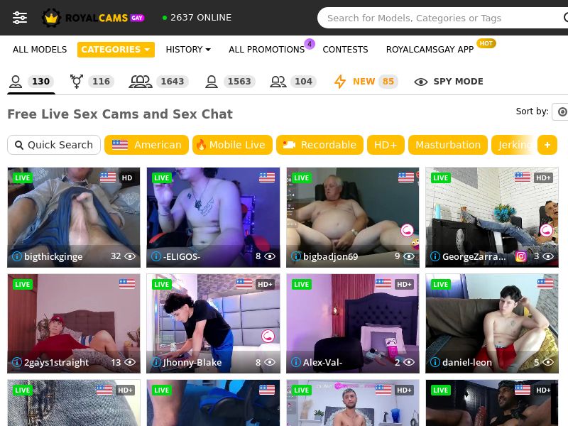 Royal Cams Gay - Revshare Lifetime