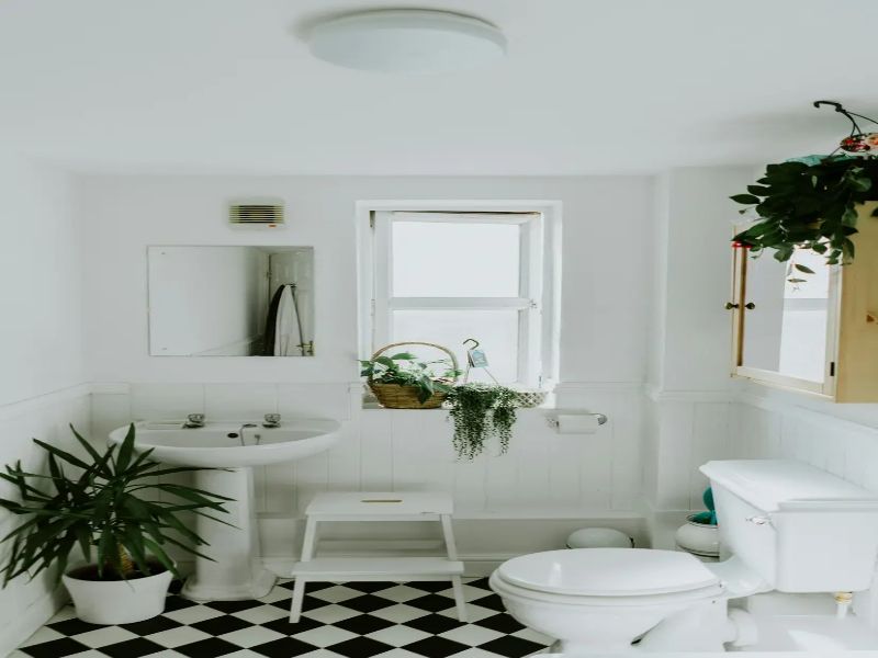 Bathroom Renovation - Social Only