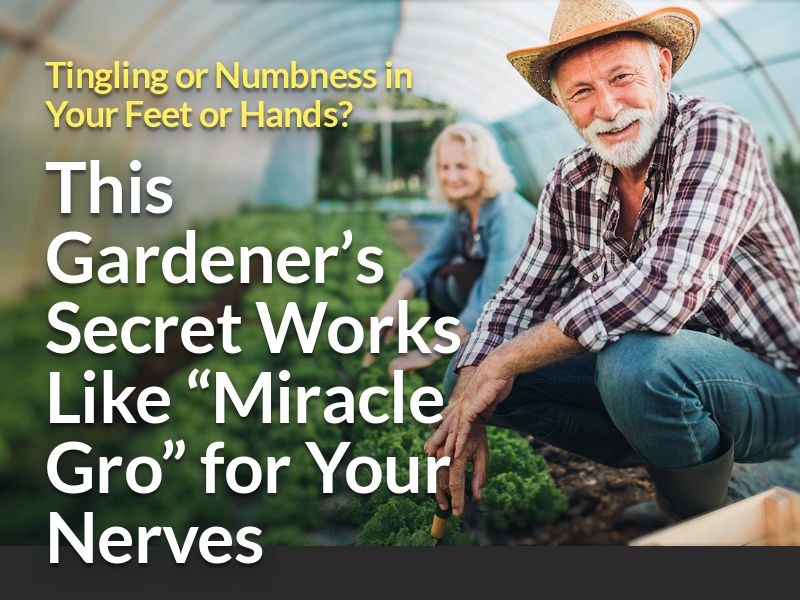  Advanced Nerve Support SS - US/CA