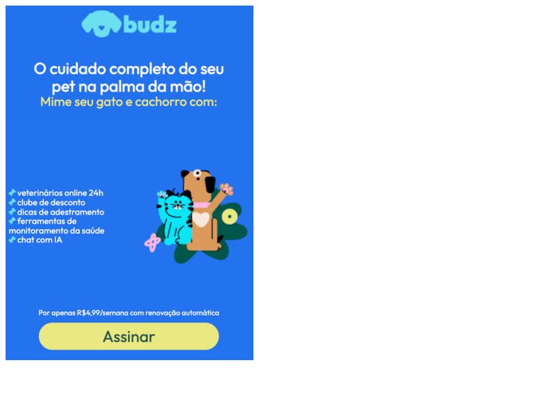 BUDZ TIM