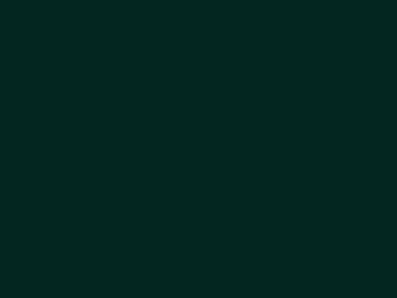 Spinbet