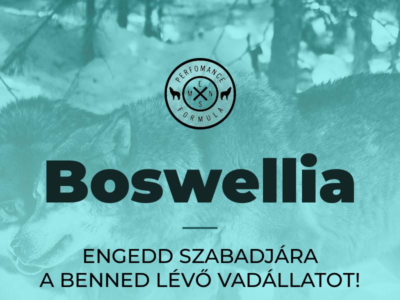 Boswellia HU (potency)