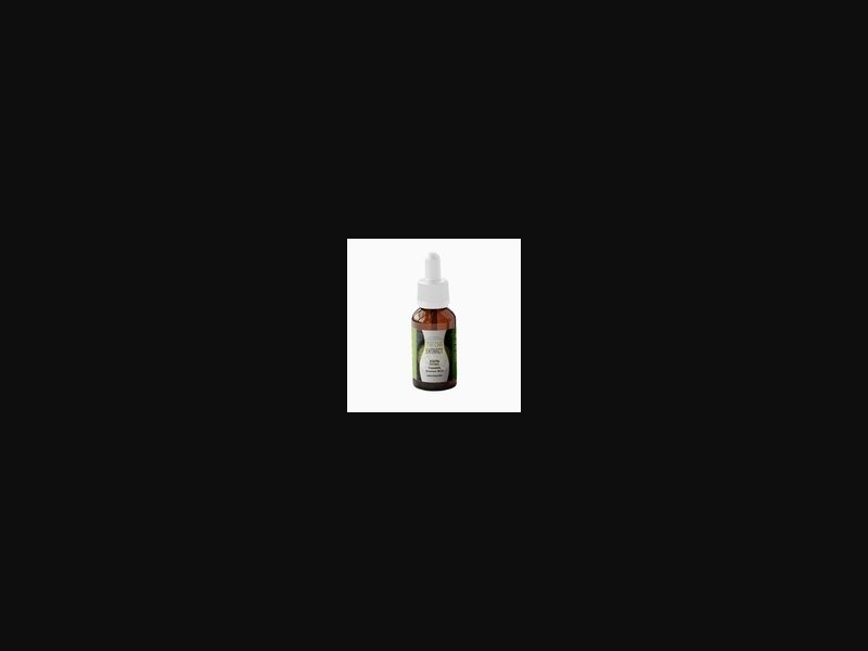 Matcha Extract - drops for weight loss