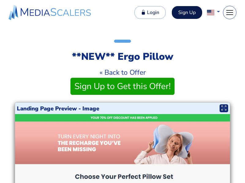 Ergo Pillow {+DTC} [US]