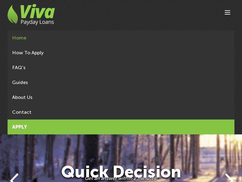 Vivapaydayloans.com Loans CPL (Lead Gen) - USA