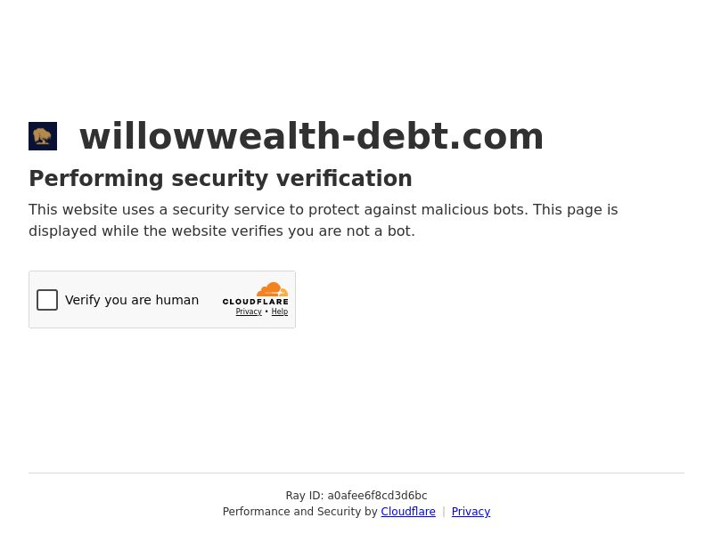 Willow Wealth Financial Debt - CPL