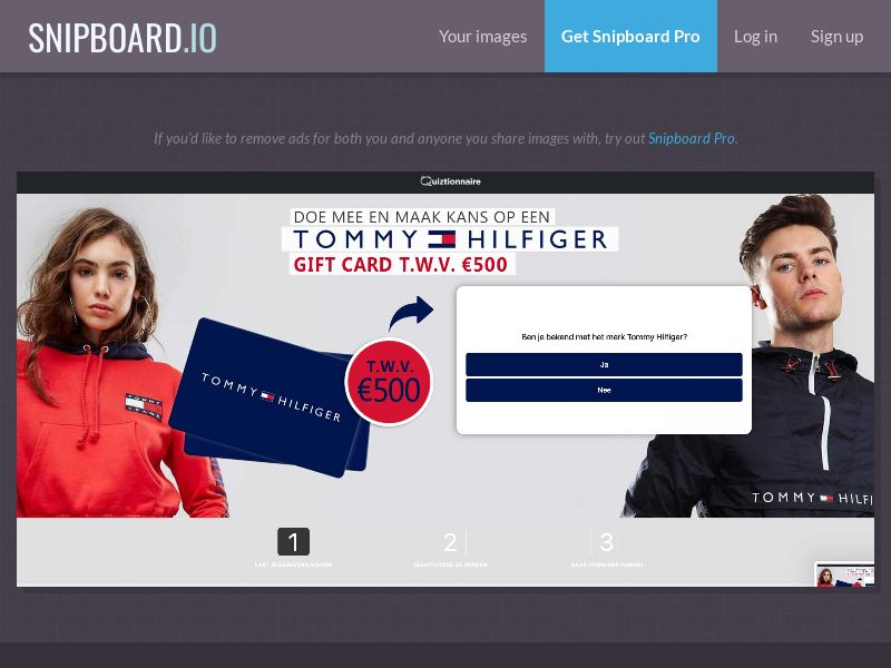Quiztionnaire - Tommy Hilfiger NL - SOI