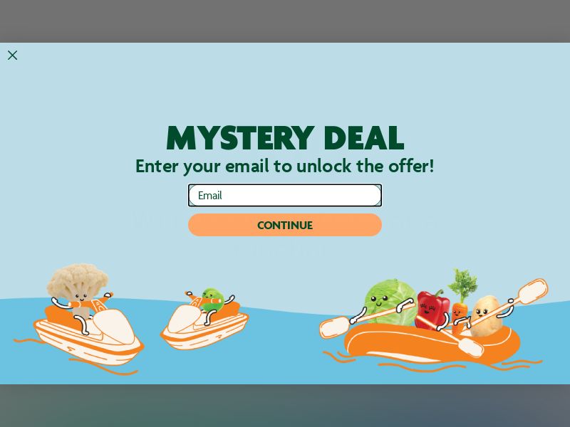 Nurture Life - CPA | US