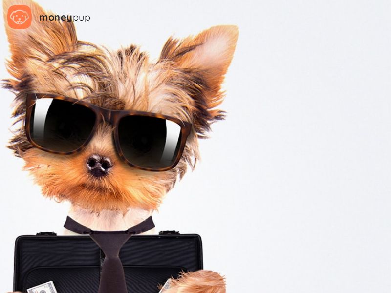 MoneyPup_Personal Loans US