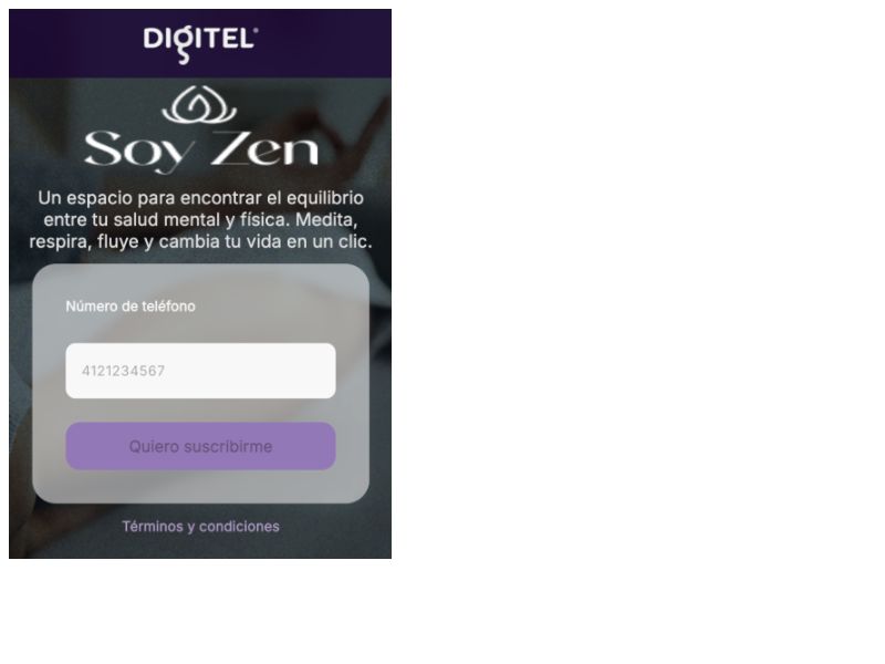 Vida Zen Ditel