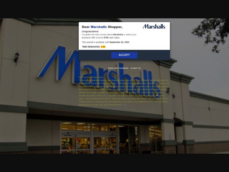 Marshalls Shoppers: Survey Rewards